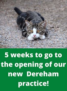 Neutering dereham norfolk  - A combined daytime frequency of three buses per hour between